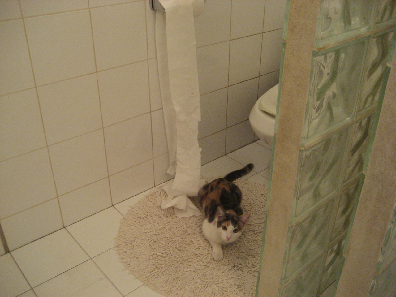 奥斯梅恩的统治级数据与丹麦的决胜局,当个人英雄主义遇上团队韧性