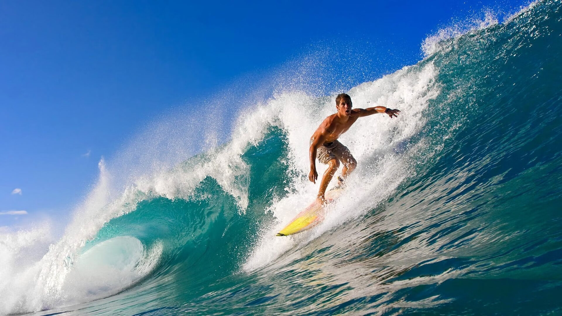 DB电竞平台登录-赛道与绿茵场，速度与策略的双重奏